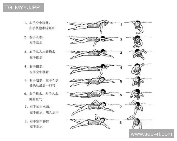 游泳训练计划：提高技巧与耐力的科学方法与实践指导